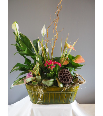 Blooming Everyday Tin Planter Blooming Everyday Tin Planter