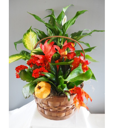 Fall Flowering Basket Arrangment Fall Flowering Basket Arrangment