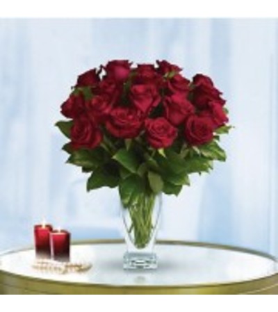 2 Dozen Premium Red Roses 2 Dozen Premium Red Roses