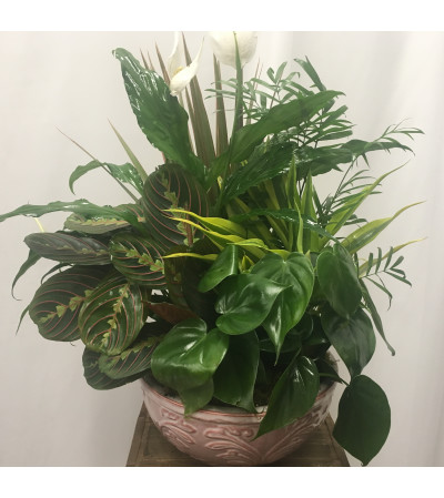 Garden Planter Garden Planter