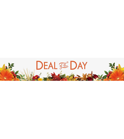 DEAL OF THE DAY FALL DEAL OF THE DAY FALL