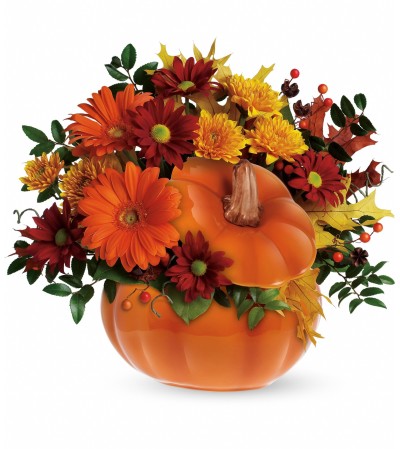 Pleasing Pumpkin Pleasing Pumpkin