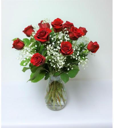 Classic Red Dozen Classic Red Dozen