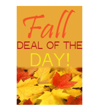 FALL Deal of the Day FALL Deal of the Day