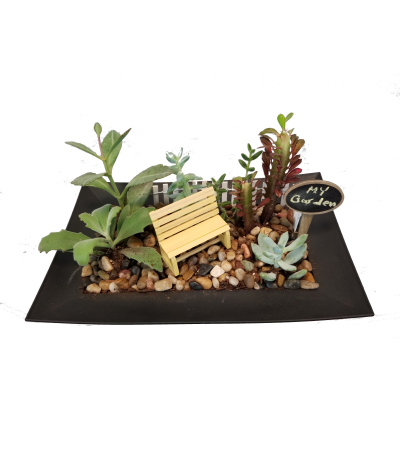 Whimsical Succulent Garden Whimsical Succulent Garden