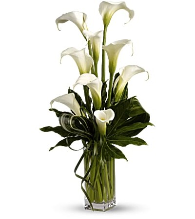 Classic Calla Vase T83-1 Classic Calla Vase T83-1