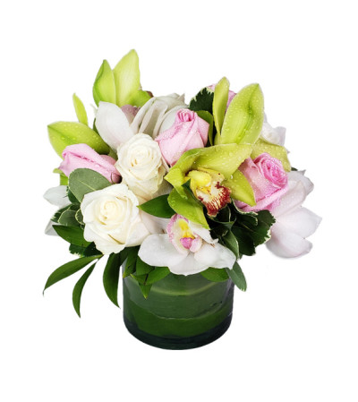 Gorgeous Flowers Gorgeous Flowers