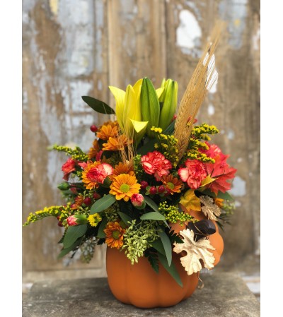 Autumn Harvest Pumpkin Autumn Harvest Pumpkin