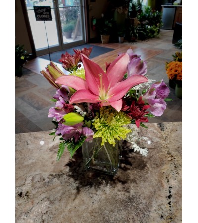 Color Craze of Flowers Color Craze of Flowers