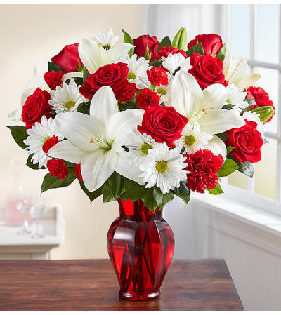 A Red and White Delight A Red and White Delight