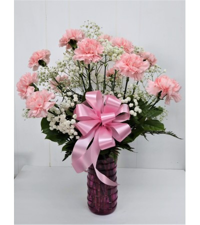 Carefree Carnations Carefree Carnations
