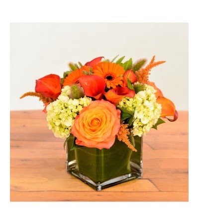 ORANGE AND GREEN MIX ORANGE AND GREEN MIX