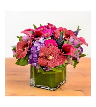 VIBRANT MIX VIBRANT MIX