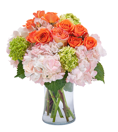 Beauty in Blossom TMF Beauty in Blossom TMF