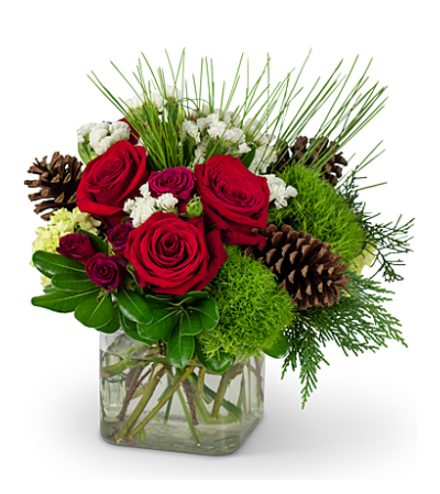 Wintertime Blooms TMF Wintertime Blooms TMF