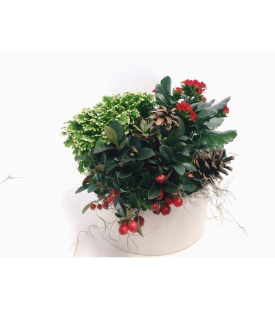 Winter Planter Ceramic - Rich Reds Winter Planter Ceramic - Rich Reds