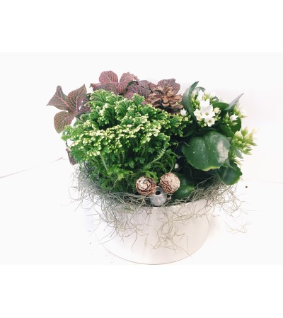 Winter Planter Ceramic - Crisp Whites Winter Planter Ceramic - Crisp Whites