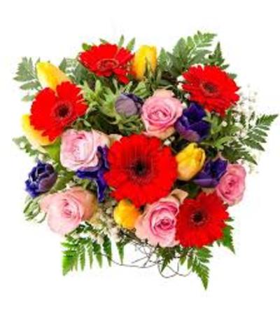 Fresh Arrangment Fresh Arrangment