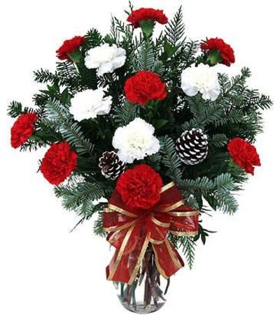 Christmas Carnations Christmas Carnations