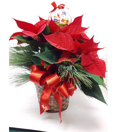 Vintage Glass Waterford Ornament in Red Poinsettia Vintage Glass Waterford Ornament in Red Poinsettia