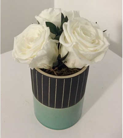 Preserved Rose Arrangement White Preserved Rose Arrangement White