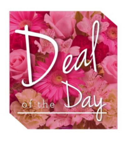 Florist's Deal of the Day Florist's Deal of the Day
