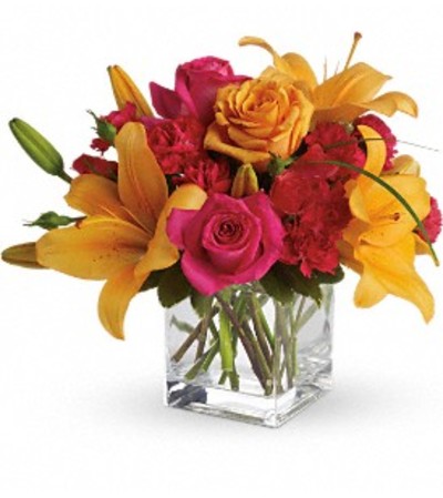 Teleflora Uniquely Chic Teleflora Uniquely Chic