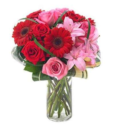 Blooming Beauty ! Blooming Beauty !