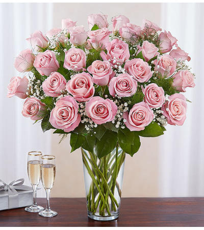 Ultimate Pink Roses 24, 36, 48 Long Stem Ultimate Pink Roses 24, 36, 48 Long Stem