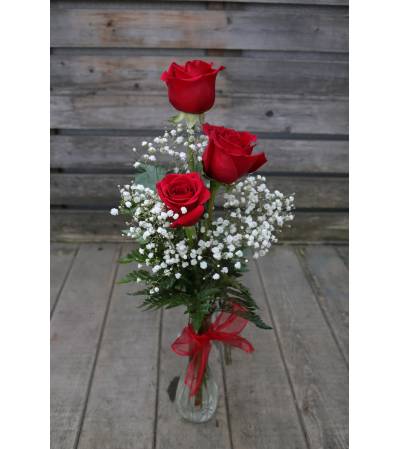 3 Rose Bud 3 Rose Bud