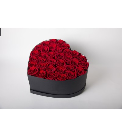 Love in my Heart Love in my Heart