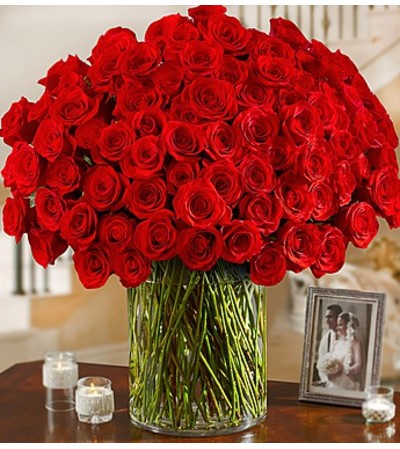 100 Red Roses in vase 100 Red Roses in vase
