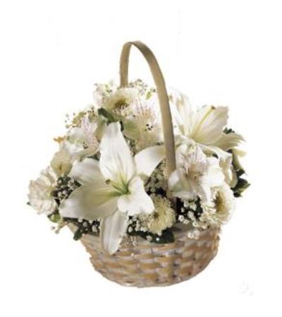 white basket of warmth white basket of warmth