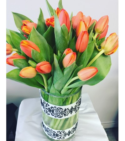 TULIP FRESHNES TULIP FRESHNES