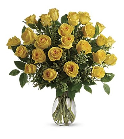 Yellow Bae Roses 24 Yellow Bae Roses 24
