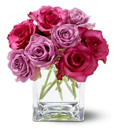 Teleflora Wild Plum Roses Teleflora Wild Plum Roses