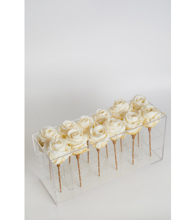 Acrylic Box rectangle 12 Roses Acrylic Box rectangle 12 Roses