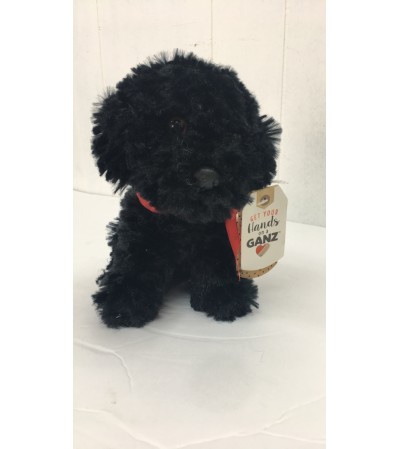 Beau the poodle (black) Beau the poodle (black)