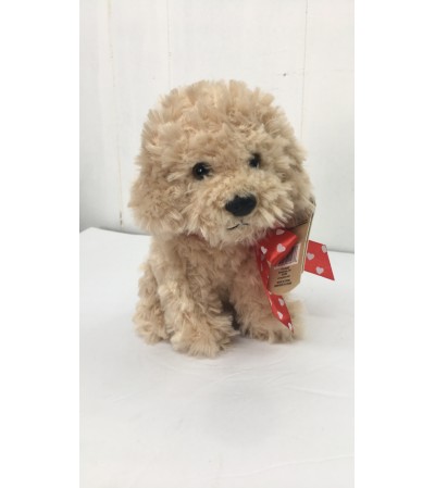 Beau the poodle (tan) Beau the poodle (tan)