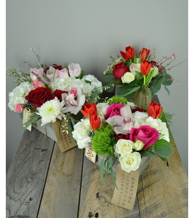 Valentine Collection Valentine Collection