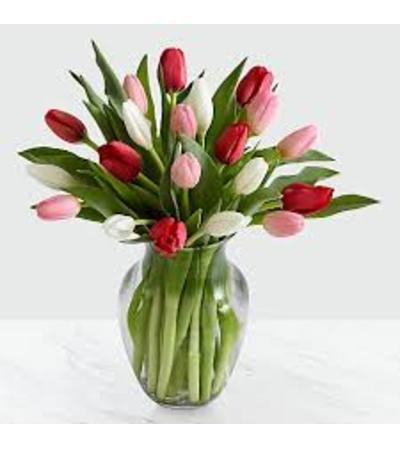 Sweet Tulips! Sweet Tulips!