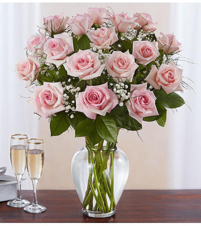 Beautiful Long Stem Pink Roses Beautiful Long Stem Pink Roses