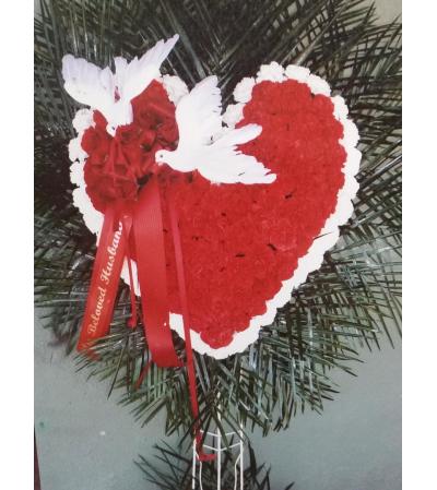 my bleeding heart my bleeding heart