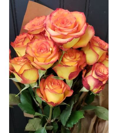 Perfect Dozen Wrapped Circus Rose Perfect Dozen Wrapped Circus Rose