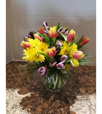 Daisies & Tulips Daisies & Tulips