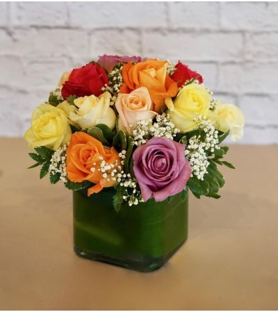 Roses-Haley Roses-Haley
