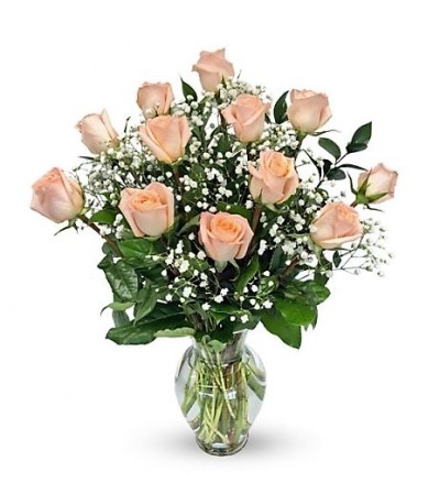 Roses (Peach/Orange)-Glenda Roses (Peach/Orange)-Glenda