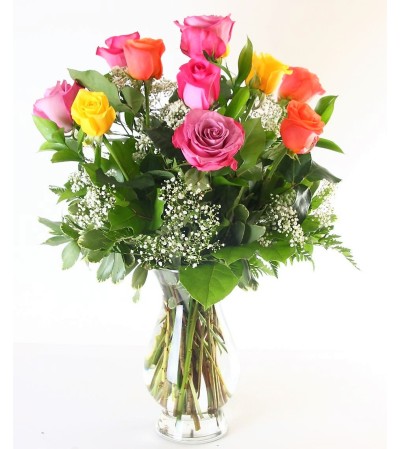 Roses(Multi)-Barbie Roses(Multi)-Barbie
