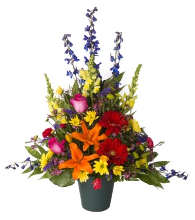 Glorious Garden-Traditional Glorious Garden-Traditional