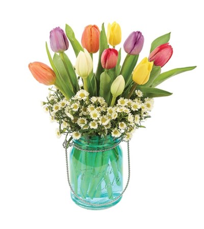Mason Tulip Mason Tulip